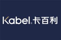 《卡百利携手阿里巴巴，净醛艺术漆新零售如何赋能？》
