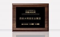西安大明宫实业集团荣获“2023中国家居行业价值100公司”