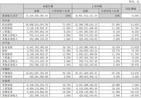 东方雨虹2024半年报：民建集团营收49.64亿元，实现逆势增长13.23%！