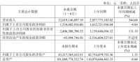 正式更名“衢州发展”，国资加持的新湖中宝成绩单亮眼