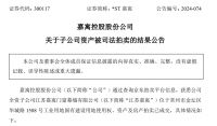 *ST嘉寓：子公司资产被拍卖 成交价7984万元