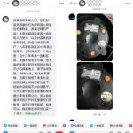 格来德：20多年国货电热水壶老牌子的长青密码是什么？