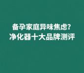 备孕家庭异味焦虑？除甲醛除烟味净化器十大品牌测评