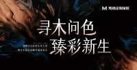 玛格的战略答卷：以“实木涂装升级 ”锚定高质量发展 破局“内卷 ”时代