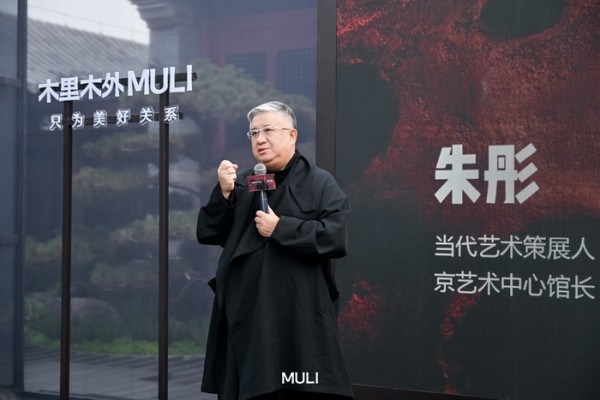 当代艺术策展人 京艺术中心馆长 朱彤