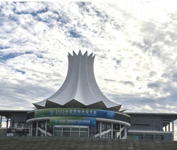 绿色展位吸睛全场！福志板材ENF级无醛新品闪耀2025广西林木展