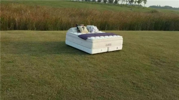 浴火而生，大国匠心：睡莲家居的品牌升级与时代答卷