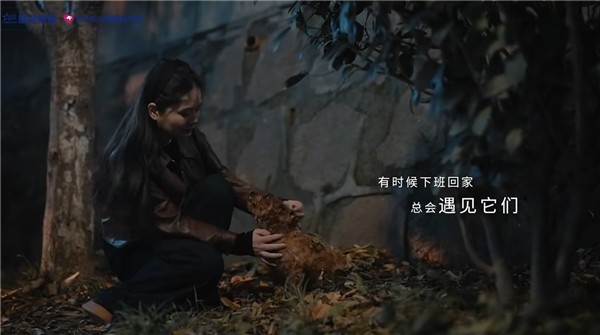 当你选一张床垫，也为一双等待的眼睛添了一碗粮