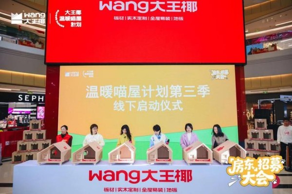 一份温暖的公益“年货”：解读大王椰“温暖喵屋计划”的IP化生存之道