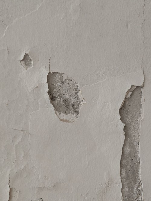 卓玛儿童级腻子：好房子的底层标准 永远是品质先行