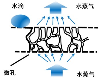 《面向“好房子”建设好材料选用指南》围护结构材料专篇——建筑外墙用透汽型防水涂料