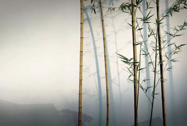 未来生活方式展 | 柏万军:用灯光“秀”出无限可能性