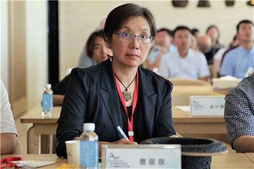 加拿大不列颠哥伦比亚大学美术史系曹星原教授