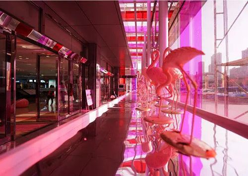 「暴走的火烈鸟」艺术展—济南