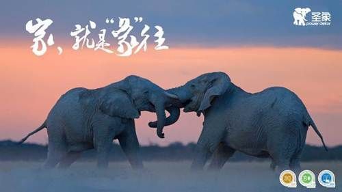 圣象以创新与国际化为驱动力,打造世界的圣象