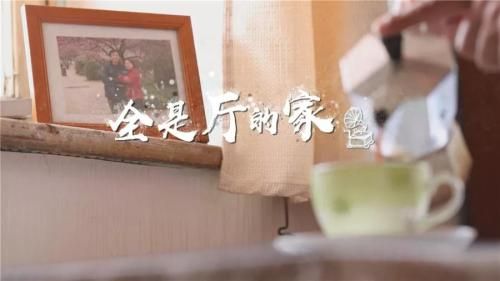 《梦想改造家》全是厅的家