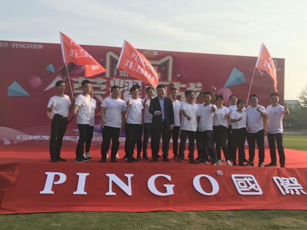 荣耀再续！PINGO国际2018双11大战正式打响