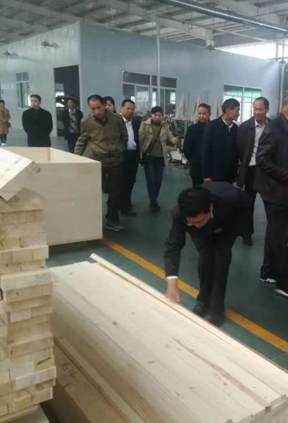 中国木材与木制品流通协会会长刘能文率考察团参观千川木门湖北生产基地