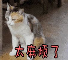 夏秋交替，这才是晒被子的最佳方式