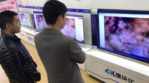 海尔