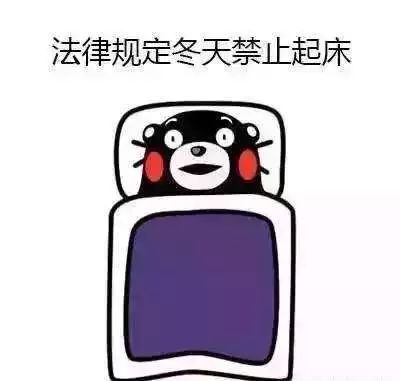 燕郊新浪家居