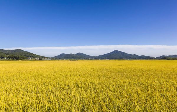燕郊新浪家居