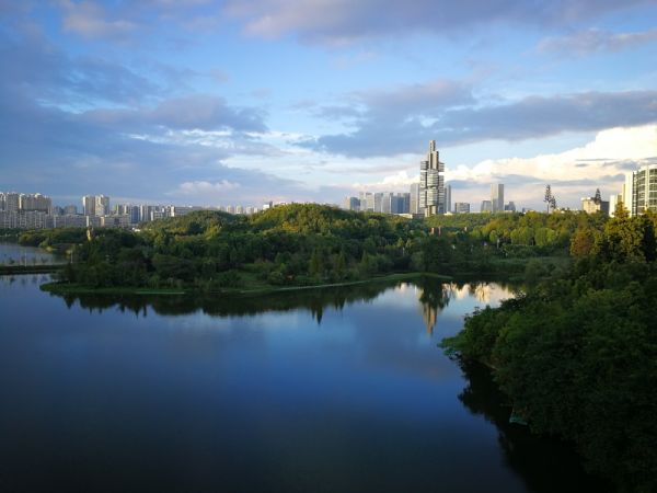 6月楼市苦夏!一类人吃了黄连,一类人吃了定心丸!