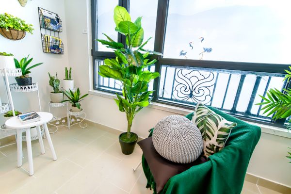 门口玄关处摆放绿植,是我家发财的关键,住起来才顺心!