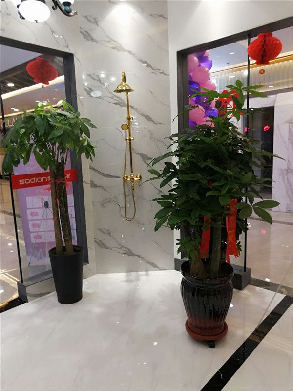尚典<a target=