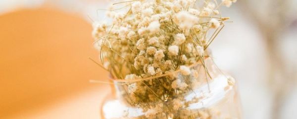 家里摆放这些,就成高级家!邻居天天来参观!