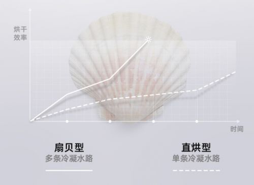 燕郊新浪家居