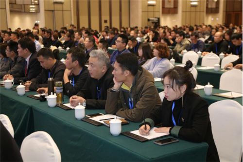 赋能终端·全面出击,改-通稿(1)305.png
