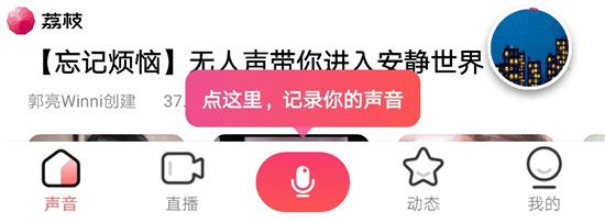 荔枝8.jpg