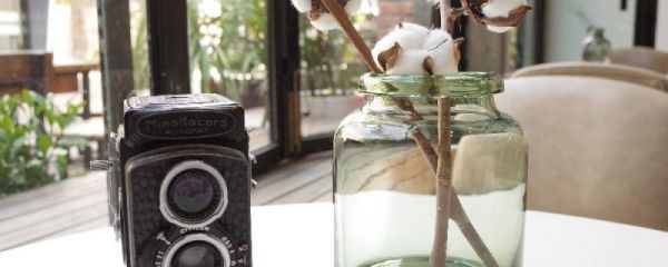 精明人都不会买这几种植物,会让你越来越穷,十年好友告诉我