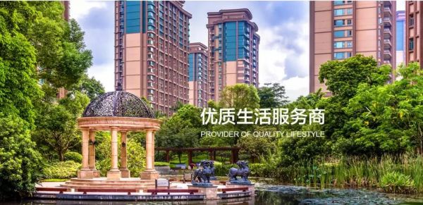 雅居乐地产集团