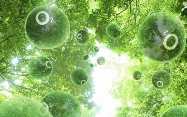 负离子真能抗菌消毒吗?贝尔带你了解重要知识点!