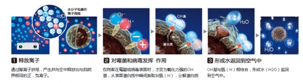 负离子真能抗菌消毒吗?贝尔带你了解重要知识点!