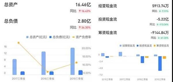 好太太2019年前三季度总负债及现金流 来源:雪球网