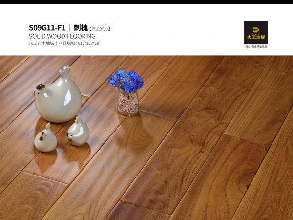 大卫<a target=
