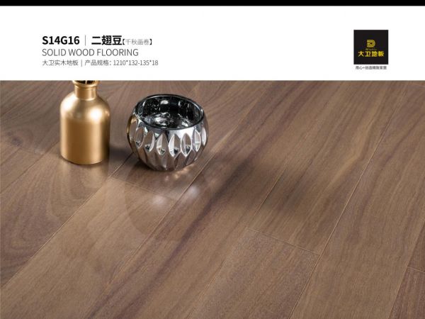 大卫<a target=