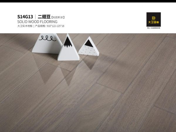 大卫<a target=
