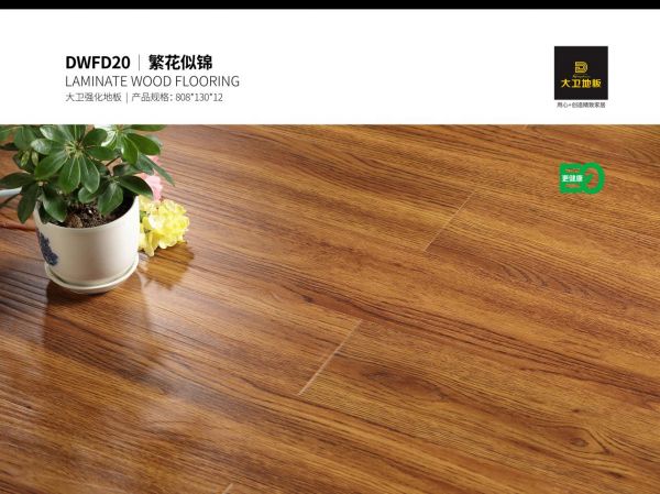 刻画E0级别样风味丨让你领略大卫强化<a target=