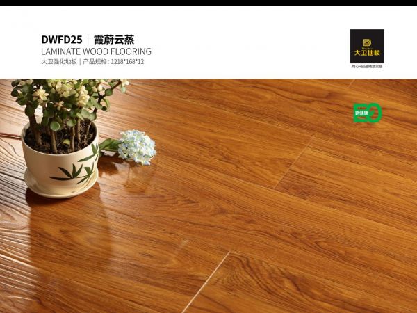 刻画E0级别样风味丨让你领略大卫强化<a target=
