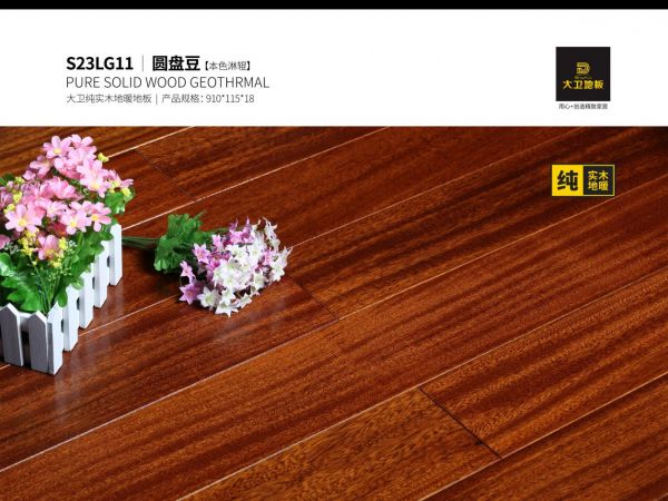 大卫<a target=