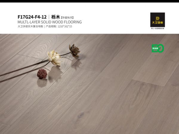 大卫<a target=