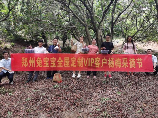 感恩回馈,客户至上!兔宝宝全屋定制举办VIP杨梅采摘节