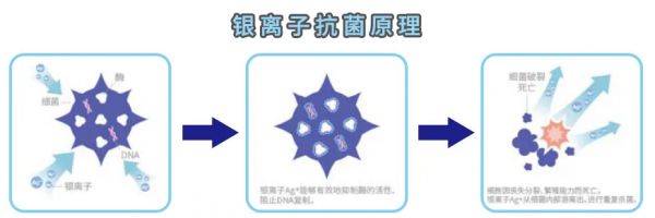 所见立净，未见长护丨东鹏整装<a target=