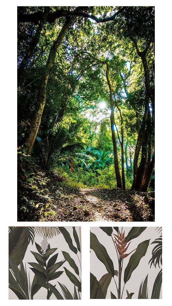 Madagascar马达加斯加丛林装饰画 .jpg