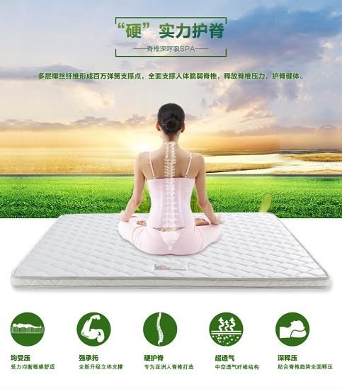 穗宝经典棕垫升级抗菌 | 2020,不止护脊,睡眠再升级