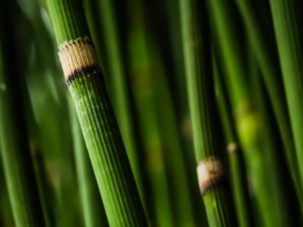 穗宝经典棕垫升级抗菌 | 2020,不止护脊,睡眠再升级